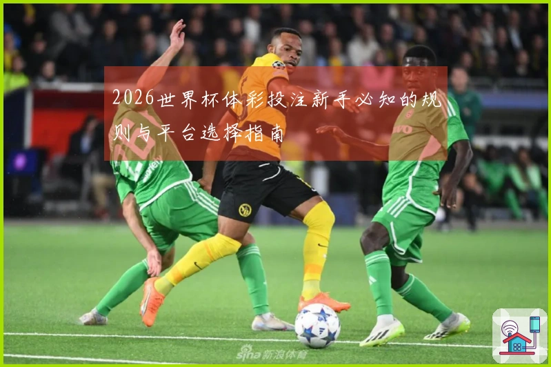 2026世界杯体彩投注新手必知的规则与平台选择指南