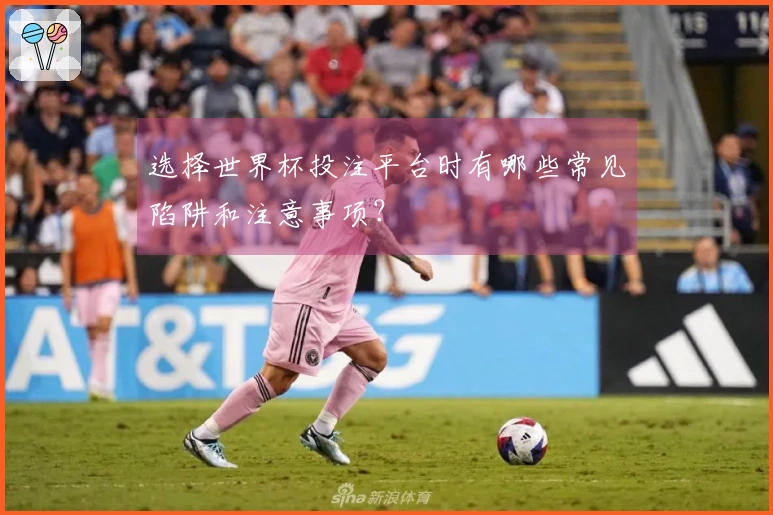 选择世界杯投注平台时有哪些常见陷阱和注意事项？