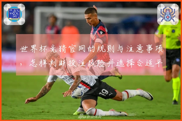 世界杯竞猜官网的规则与注意事项，怎样判断投注风险并选择合适平台？