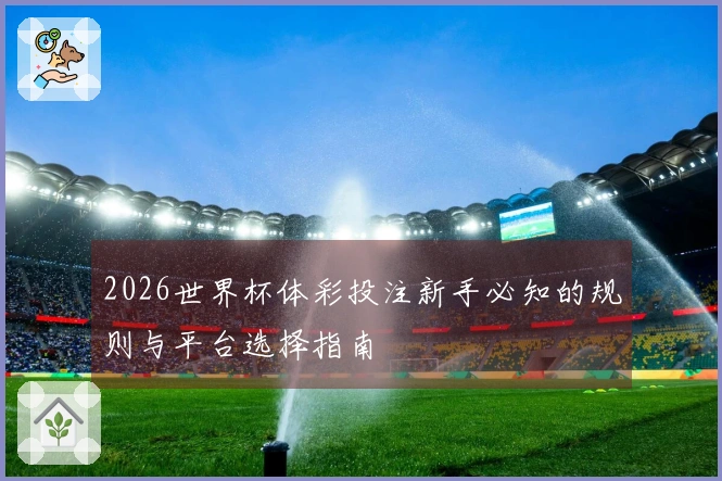 2026世界杯体彩投注新手必知的规则与平台选择指南